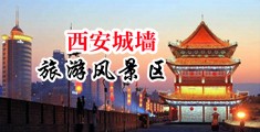 极品少萝内射中出中国陕西-西安城墙旅游风景区